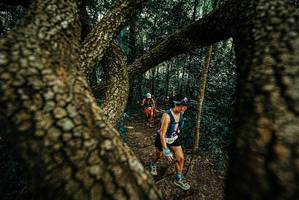 BIB: 
                            <button type="button" onclick="openModal(25670308)" class="btn btn-primary btn-sm float-right btn-popup" data-toggle="modal" data-target=".modal-high-quality">
                        <i class="fas fa-shopping-cart"></i> Add to Cart
                    </button>
                                            <button type="button" onclick="isThisMe(25670308, true)" class="btn btn-success btn-sm float-right btn-popup btn-isme hidden" data-toggle="tooltip" data-placement="bottom" title="นี่คือรูปของคุณใช่ไหม คลิกที่นี่เพื่อเอาเข้าอัลบั้ม">
                        <i class="fas fa-plus"></i> Add to album
                    </button>
                    <button type="button" onclick="isThisMe(25670308, false)" class="btn btn-warning btn-sm float-right btn-popup btn-isnotme hidden">
                        <i class="fas fa-ban"></i> Remove from album
                    </button>